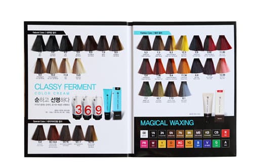 Hair color chart for salon_hair color swatch book_hair dye